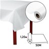 NAPPE NON TISSE DEPERLANTE BLANC 50 X 1,20 METRES