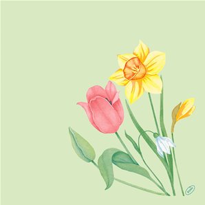SERVIETTES DUNISOFT SPRING MELODY - PAQUET DE 60