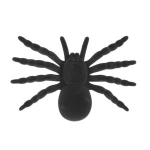 Mygale Noire