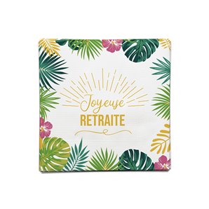 SERVIETTES RETRAITE EN PAPIER 33X33CM - PAQUET DE 10