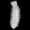 PLUMES BLANCHES - SACHET DE 50