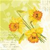 SERVIETTES EFFET TISSU SPRING FLOWERS - PAQUET DE 12
