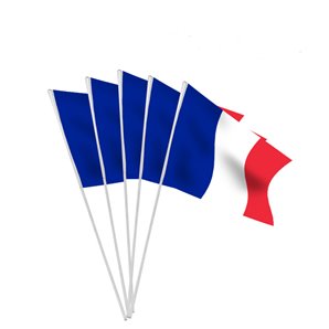 DRAPEAU FRANCE 10X15CM PAPIER GLACE