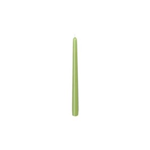 BOUGIE AVOCAT 250X22MM