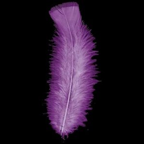 PLUMES VIOLETTES X50