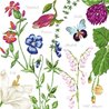 SERVIETTES PAPIER CARLIE 33X33CM X20