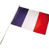 DRAPEAU FRANCE 30X45CM POLYESTER SUR TIGE