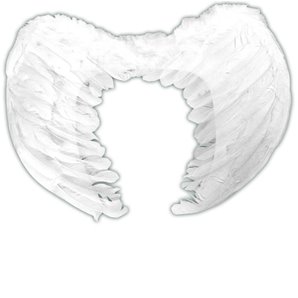 AILES D'ANGES BLANCHES 36 X 40 CM