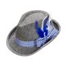 CHAPEAU BAVAROIS GRIS AVEC PLUME NOIRE