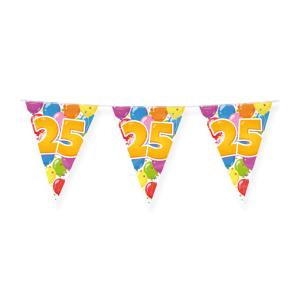 Guirlande Multicolore 25 Ans - 10 Mètres