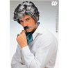 PERRUQUE PLAY BOY + MOUSTACHE GRIS