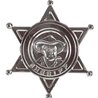 ETOILE DE SHERIFF EN PVC