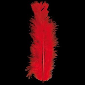 PLUMES ROUGES - SACHET DE 100 PLUMES 15 CM