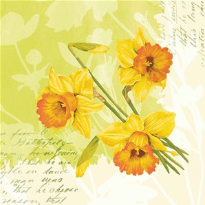 SERVIETTES EFFET TISSU SPRING FLOWERS - PAQUET DE 12