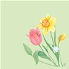 SERVIETTES DUNISOFT SPRING MELODY - PAQUET DE 60