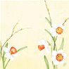 SERVIETTES EFFET TISSU DAFFODIL JOY - PAQUET DE 12