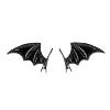 Barrette Ailes Noires