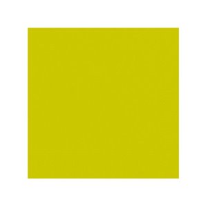 SERVIETTES PAPIER VERT KIWI 33X33CM - PAQUET DE 50
