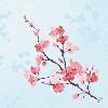 Serviettes Dunisoft Cherry Breeze 40 x 40 Cm - Paquet de 60