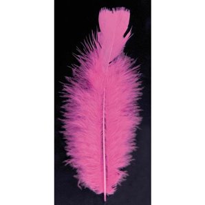 PLUME FUCHSIA PIED PLAT