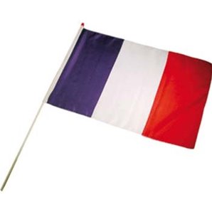 DRAPEAU FRANCE 30X45CM POLYESTER SUR TIGE