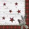 Serviettes Dunisoft Naturally Winter - Paquet de 60