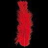 PLUMES ROUGES - SACHET DE 100 PLUMES 15 CM