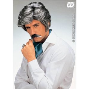 PERRUQUE PLAY BOY + MOUSTACHE GRIS