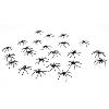 Araignée Noire En Plastique