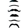 MOUSTACHES NOIRES ASSORTIES - PAQUET DE 12