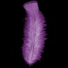 PLUMES VIOLETTES X50