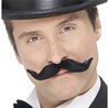 MOUSTACHES TRANSFORMABLES