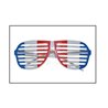 LUNETTES FRANCE GRILLES EN PLASTIQUE