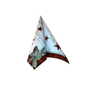 Serviettes Dunisoft Naturally Winter - Paquet de 60