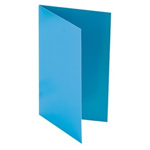 MENUS TURQUOISE EN CARTON X 10